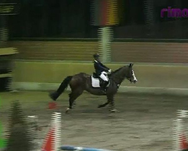 Heiden 2011