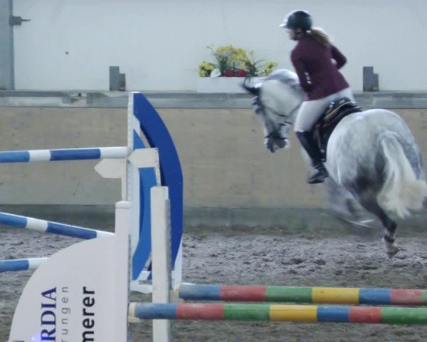 Reitturnier Waghäusel-Wiesental 2024