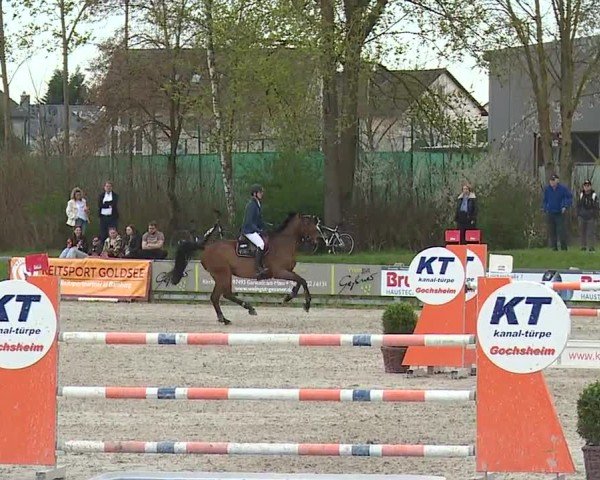 Reitturnier Grafenrheinfeld/Ufr. 2024