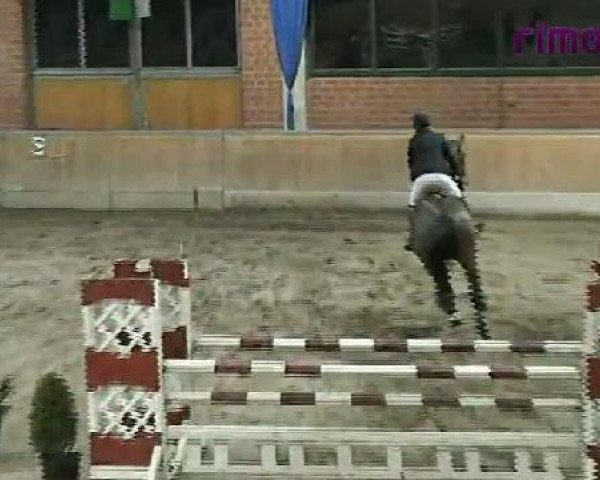 Heiden 2011