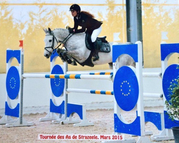 Springpferd Romeo des Tilleuls (Französisches Pony, 2005, von Eloi IV)
