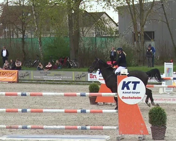 Reitturnier Grafenrheinfeld/Ufr. 2024