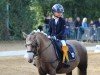 dressage horse Finding Nemo (Welsh mountain pony (SEK.A), 2013, from Penwisg Pirate)