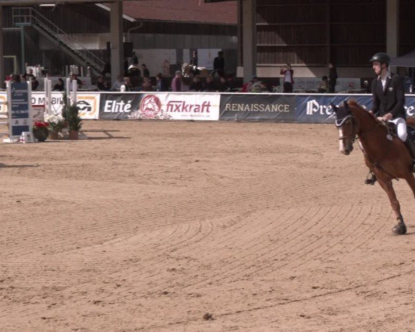 Reitturnier Ranshofen - Braunau am Inn 2024