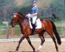 dressage horse Djimba (German Warmblood, 2005, from Dark Diamond)