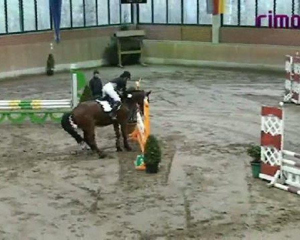 Heiden 2011