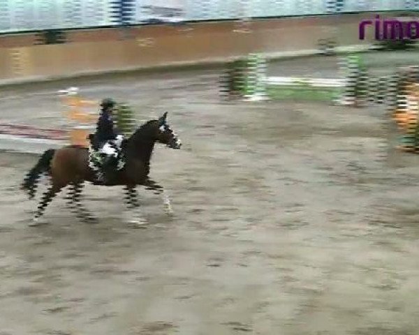 Heiden 2011