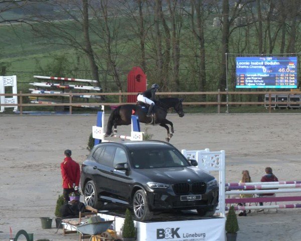 Reitturnier Scharnebeck 2024