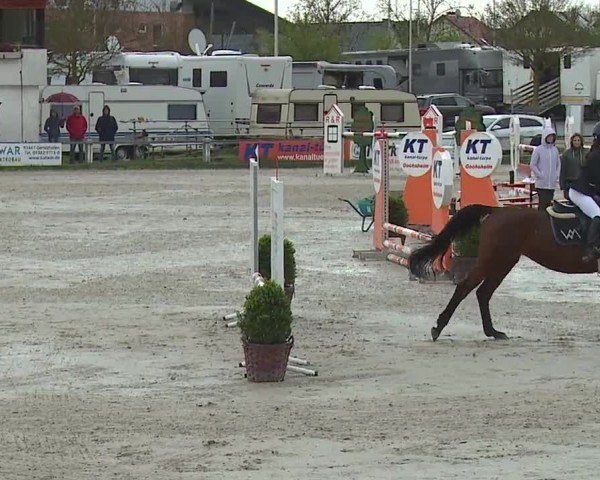 Reitturnier Grafenrheinfeld/Ufr. 2024