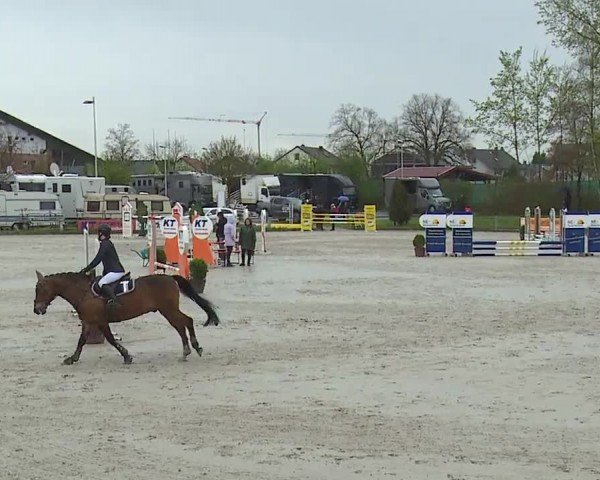 Reitturnier Grafenrheinfeld/Ufr. 2024