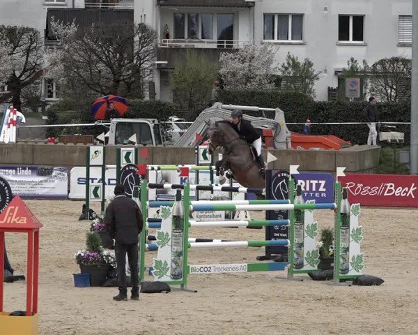Reitturnier Amriswil 2024