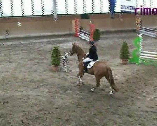 Heiden 2011