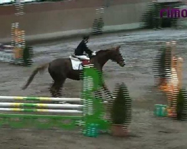 Heiden 2011