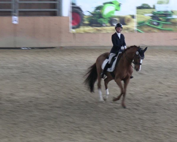 Reitturnier Borgholzhausen-Westbarthausen 2024