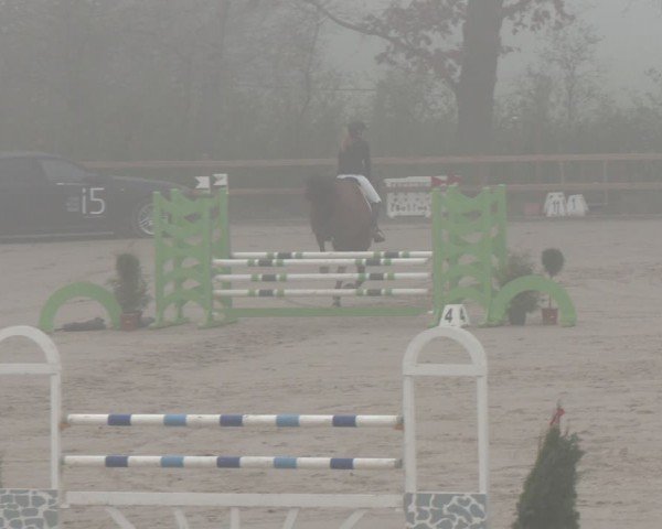 Reitturnier Scharnebeck 2024