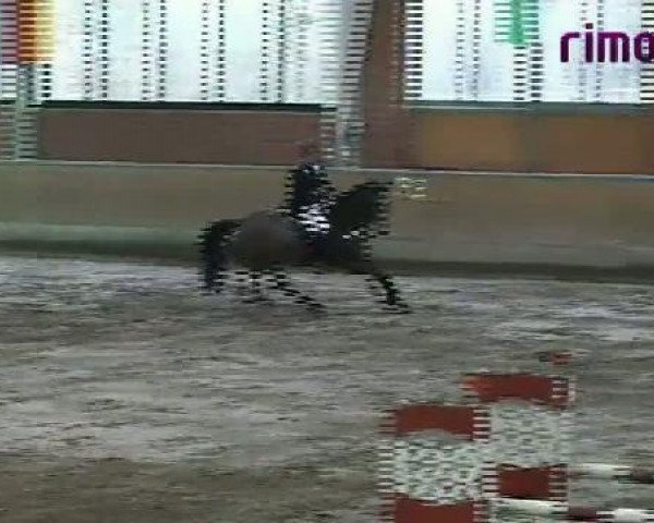 Heiden 2011
