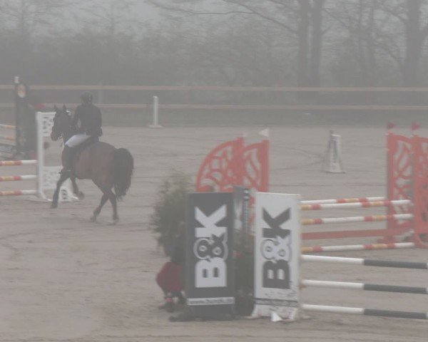 Reitturnier Scharnebeck 2024