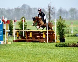 jumper Schwuppdiwupp 5 (German Riding Pony, 2018, from Jonker's Socrates)