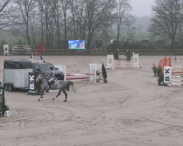 Reitturnier Scharnebeck 2024