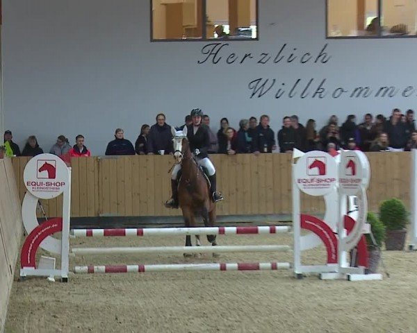 Reitturnier Grafenrheinfeld/Ufr. 2024