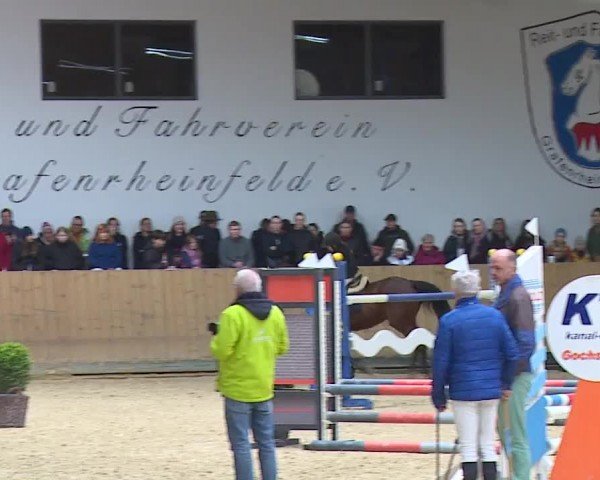 Reitturnier Grafenrheinfeld/Ufr. 2024