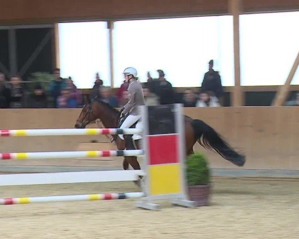 Reitturnier Grafenrheinfeld/Ufr. 2024