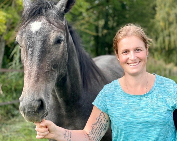 jumper Viviano AG (Oldenburg show jumper, 2022, from Vingino)