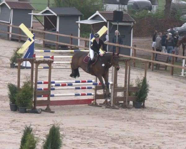 Reitturnier Scharnebeck 2024