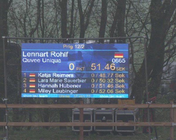 Reitturnier Scharnebeck 2024