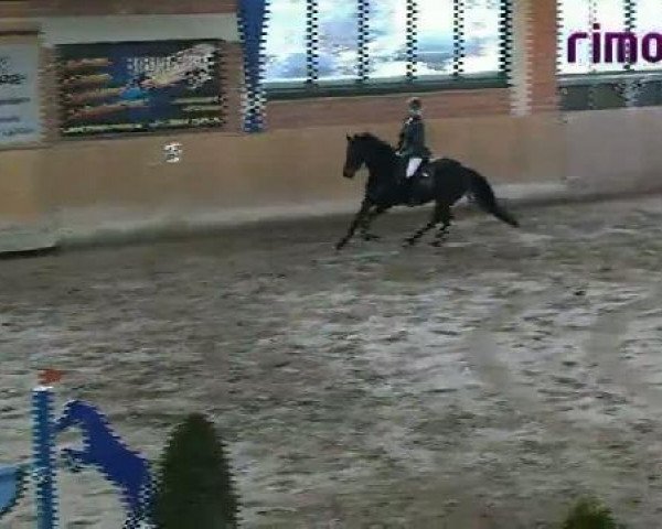 Heiden 2011