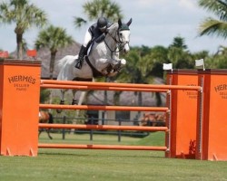 jumper Baloucento 2 (Oldenburg show jumper, 2005, from Baloubet du Rouet)