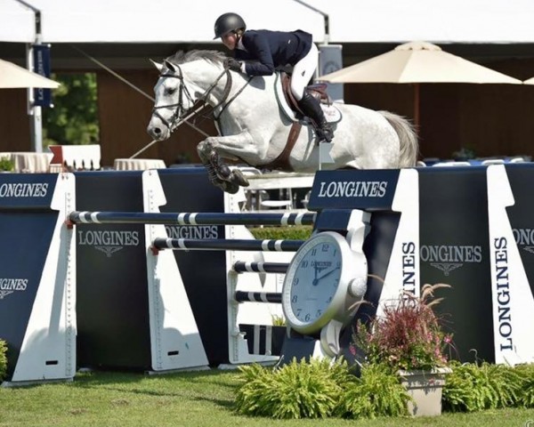 Springpferd Betty Boop III (KWPN (Niederländisches Warmblut), 2006, von Carolus II)