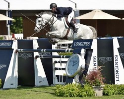 jumper Betty Boop III (KWPN (Royal Dutch Sporthorse), 2006, from Carolus II)