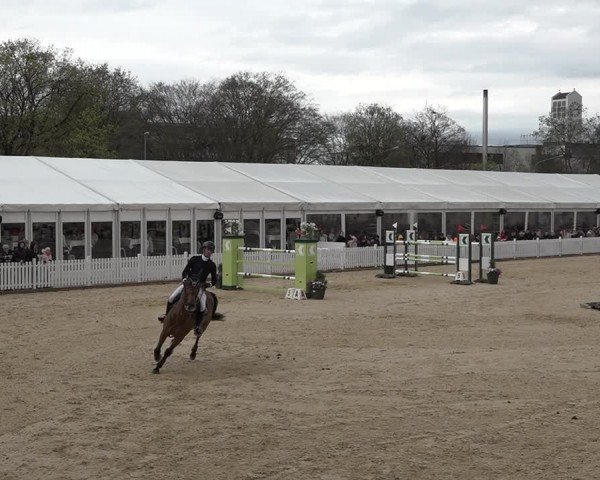 Reitturnier Amriswil 2024