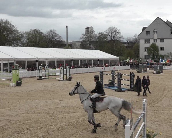 Reitturnier Amriswil 2024
