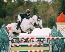 jumper Casper (KWPN (Royal Dutch Sporthorse), 2003, from Brummerhoeve's Boss)