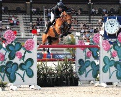 jumper Valentino Tuiliere (Selle Français, 2009, from Diamant de Semilly)