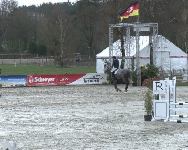 Reitturnier Westergellersen 2024
