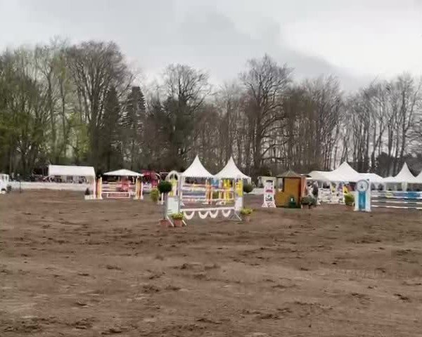 Reitturnier Bad Schwartau 2024