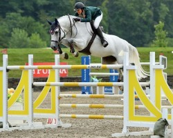 jumper Marie vd Mespel Z (Zangersheide riding horse, 2011, from Mylord Carthago)