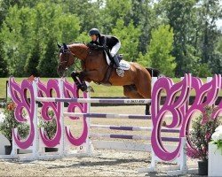 jumper Play Boy Montdesir (Belgian Warmblood, 2015, from Diamant de Semilly)