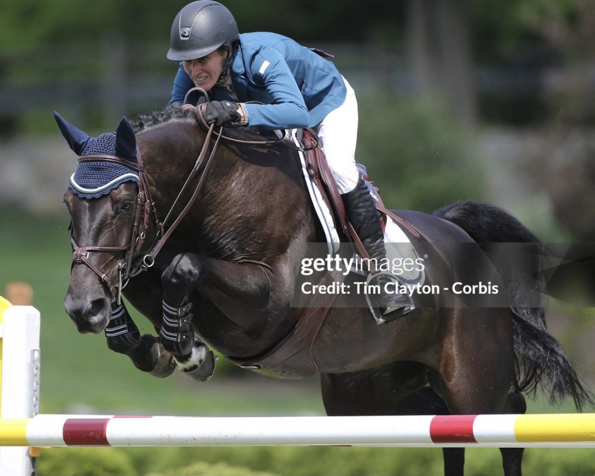 jumper Balous Day Date (Oldenburg, 2005, from Balou du Rouet)