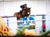 jumper Meadow Vale Cruise (Irish Sport Horse, 2011, from S Creevagh Ferro)