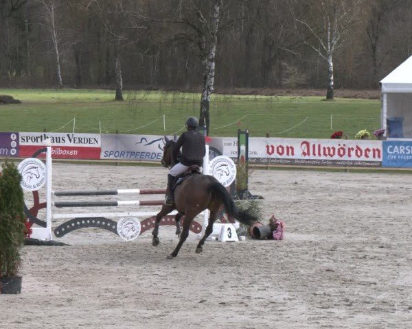 Reitturnier Westergellersen 2024