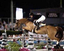 jumper Trixie Z (Zangersheide riding horse, 2014, from Tobago Z)