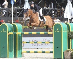 jumper Kismet van de Lentakker (Belgian Warmblood, 2010, from Lordanos)