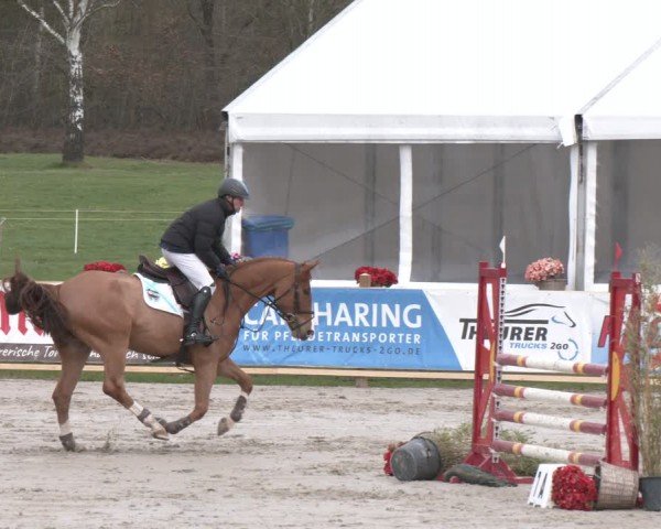 Reitturnier Westergellersen 2024