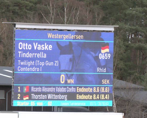 Reitturnier Westergellersen 2024