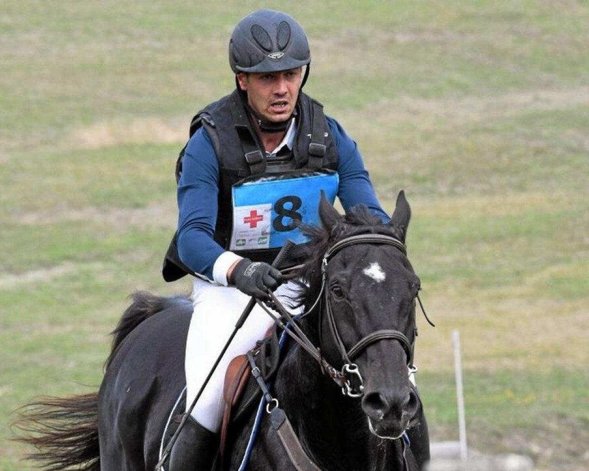 horse Quiland Menjoulet (Selle Français, 2004, from Trophee du Rozel)