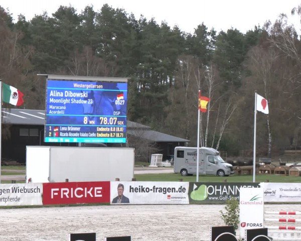 Reitturnier Westergellersen 2024